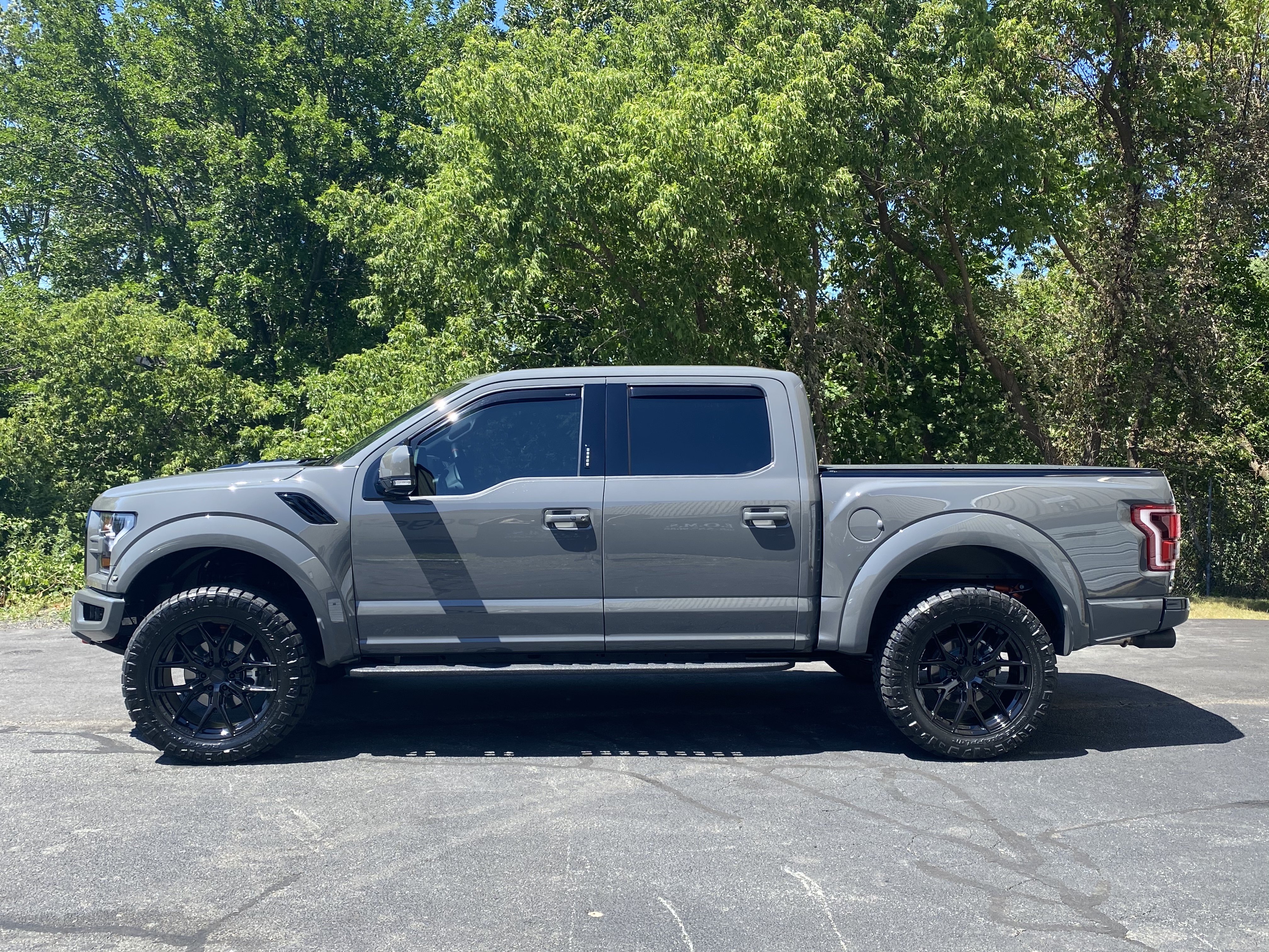 Leadfoot Gray Raptor