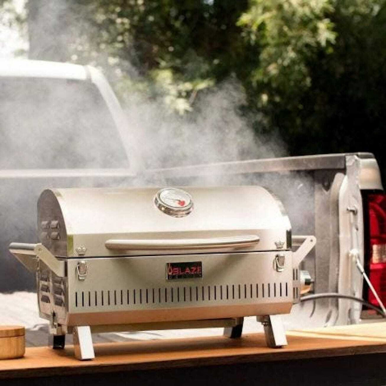 Portable Electric Grills