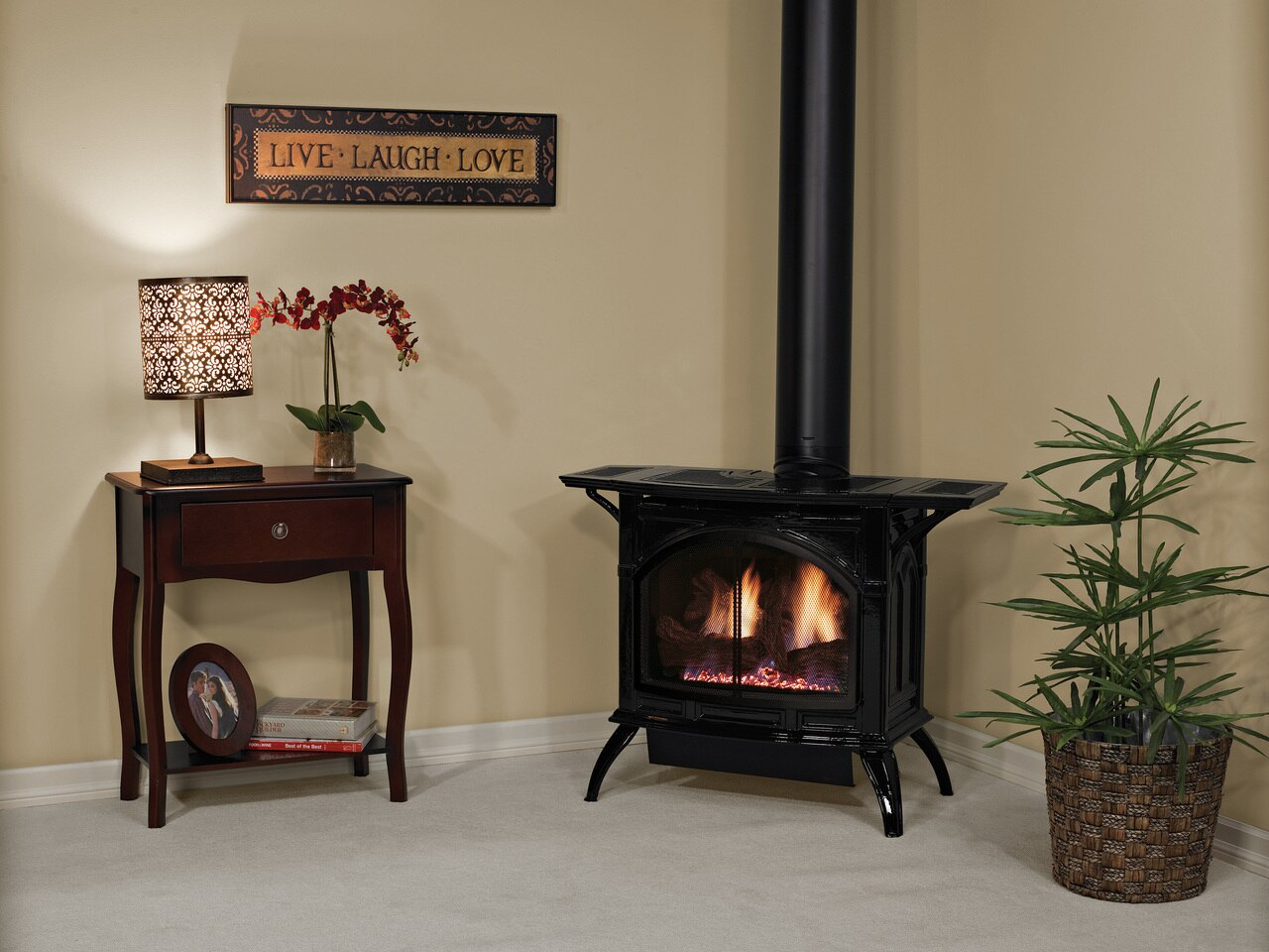 Empire Cast Iron Direct-Vent Stove - Intermittent Pilot