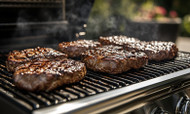 Broil King Regal QS Series Gas Grill Review