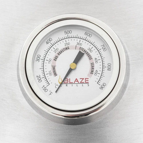 Blaze 20-Inch Built-In Cast Aluminum Kamado | Built-In Thermometer