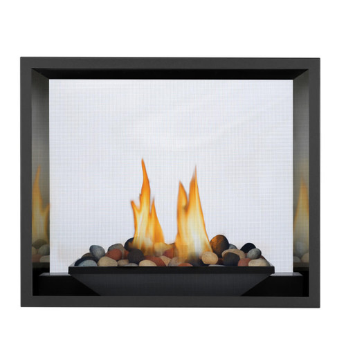 Napoleon High Definition 81 See Through Direct Vent Gas Fireplace | Battery Back-Up Control System