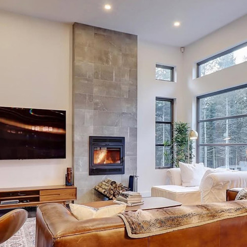 Supreme Astra 24 Traditional Zero-Clearance Wood Burning Fireplace | Heat Capacity: 500 to 1,500 square feet