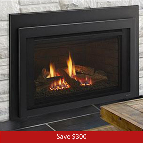 Majestic Jasper 30" Direct Vent Gas Insert | Promo Ends October 23rd.