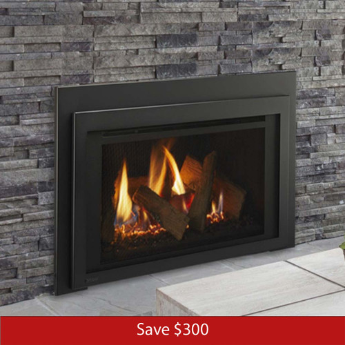 Majestic Ruby 30" Direct Vent Gas Insert with IntelliFire Plus Ignition System | Promo Ends October 23rd.