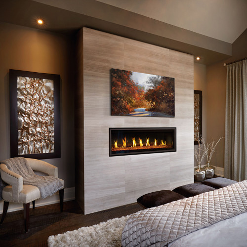 Napoleon Vector 50" Single Sided Direct Vent Linear Fireplaces | Up to 36,000 BTU's