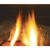 Regency Bellavista 41" Flush Gas Fireplace - Close-Up Flame View