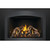 Napoleon Oakville X3 Series Direct Vent Gas Insert | Full view design with a massive 340 sq. in. viewing area
