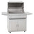 Blaze 32" Freestanding Charcoal Grill - Stainless Steel Charcoal Grill