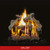 Grand Canyon Western Driftwood Indoor See Through Vented Gas Logs & Burner | Promo Ends September 8th.