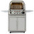 Blaze Pizza Oven with Rotisserie - Freestanding Pizza Oven with Side Shelves