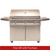 Artisan Grills 42" Professional Series Freestanding Gas Grill | Promo Ends December 31st.
