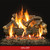 Grand Canyon 24" Arizona Weathered Oak Charred Indoor Vented Gas Log and Burner | Promo Ends September 8th.