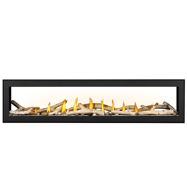 Napoleon Vector 74" See Thru Direct Vent Gas Fireplaces