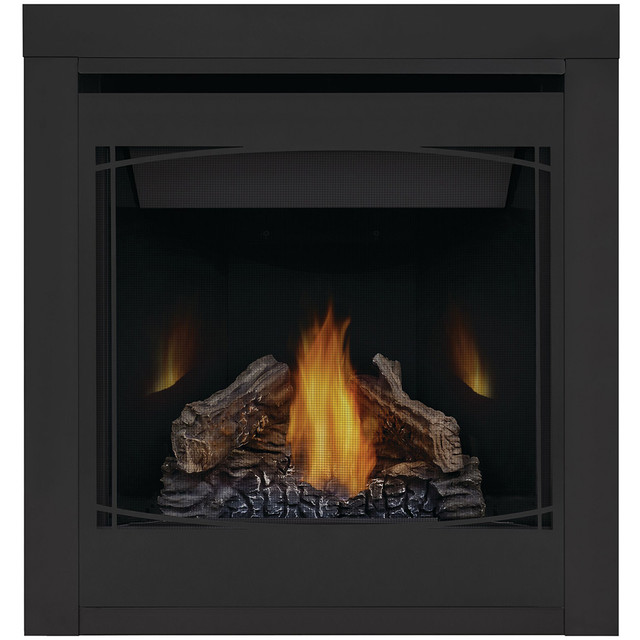 Napoleon Ascent 30" Direct Vent Gas Fireplace