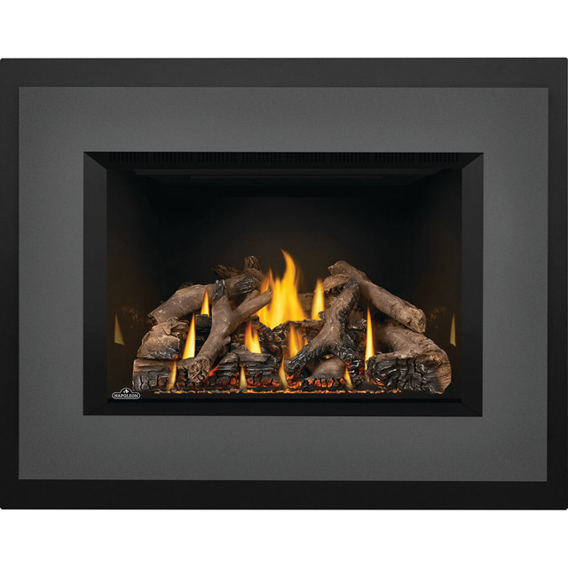 Napoleon Oakville X4 Series Direct Vent Gas Insert