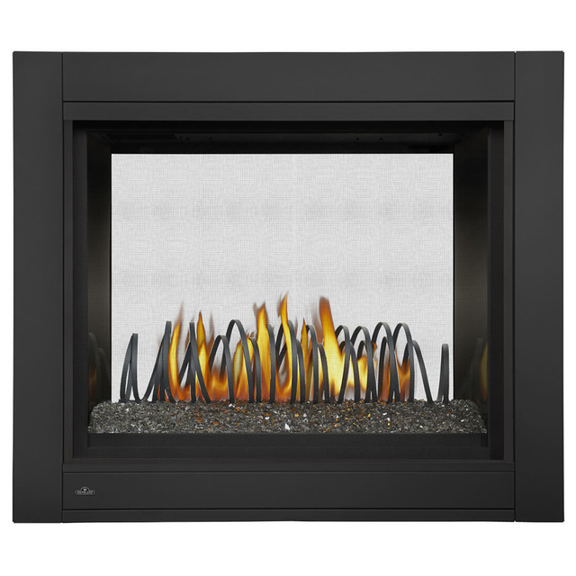 Napoleon Ascent Multi-View Direct Vent Gas Fireplace