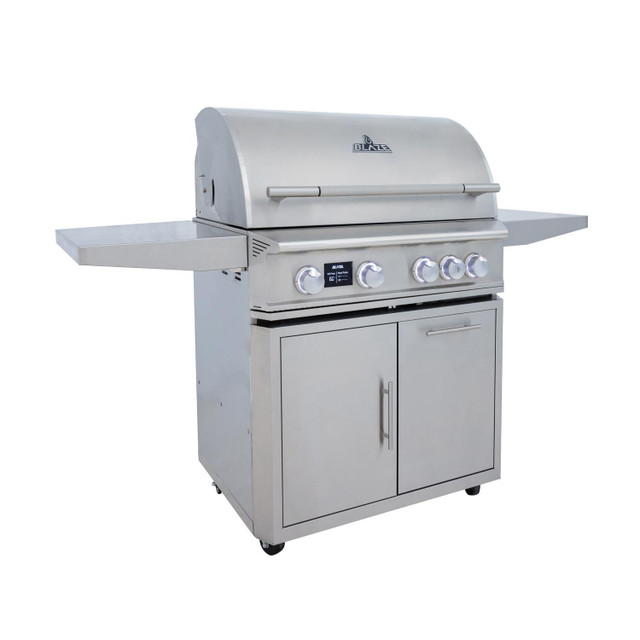 Blaze LTE PRO 32" Freestanding Gas Grill​