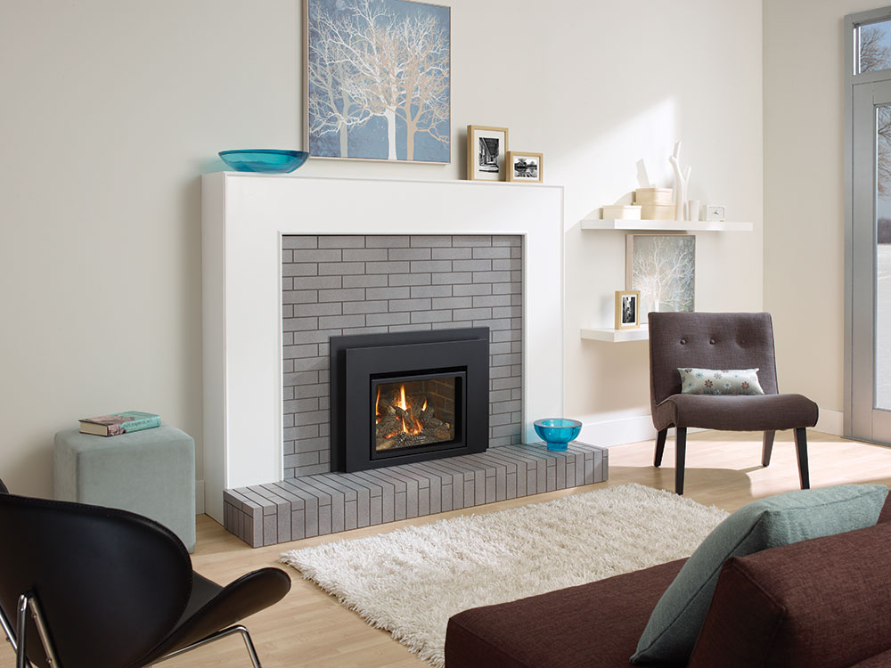 Regency Liberty L234 Small Direct Vent Gas Insert | Embers Living
