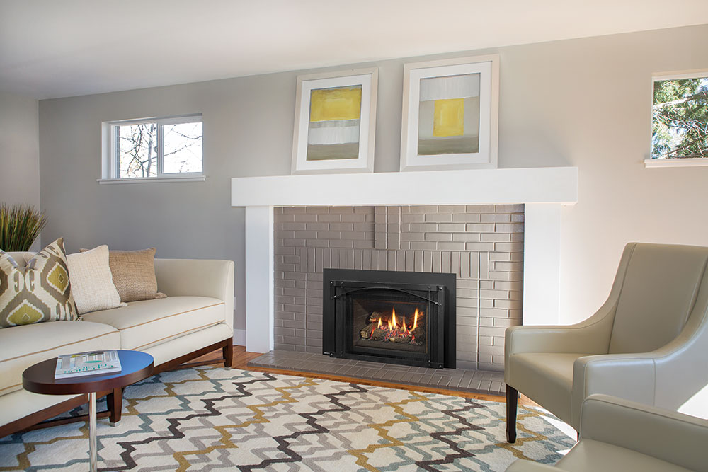 Regency Liberty LRI4E Medium Gas Insert | Embers Living