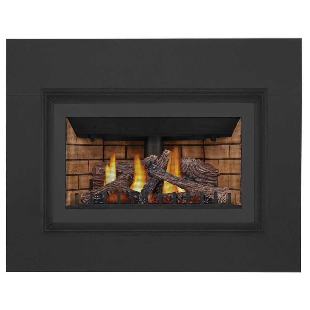 Napoleon Inspiration Direct Vent Gas Fireplace Insert - Millivolt