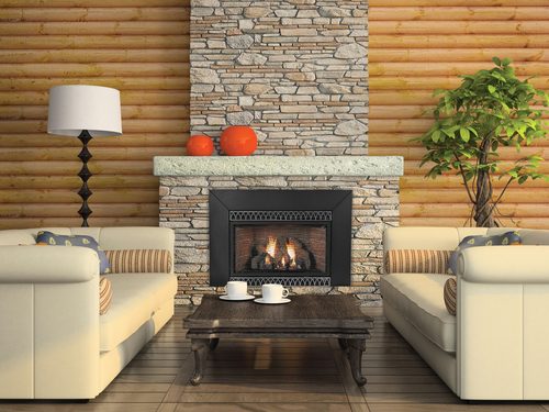 Empire Loft Vent-Free Cleanface Insert/Fireplace with Barrier