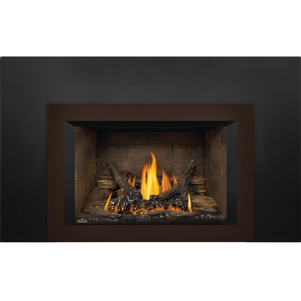 Napoleon Oakville 3 Direct Vent Gas Insert | Embers Living