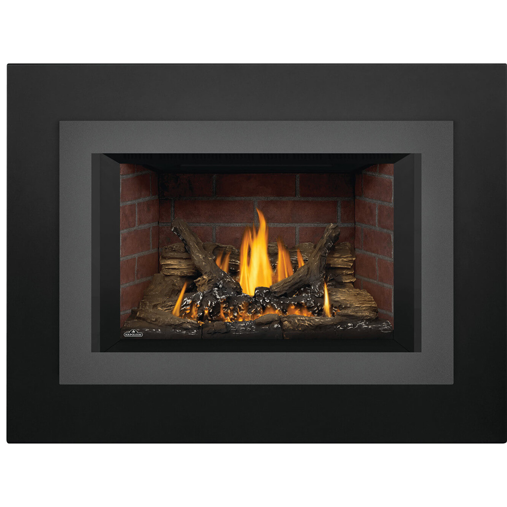 Napoleon Oakville 3 Direct Vent Gas Insert | Embers Living