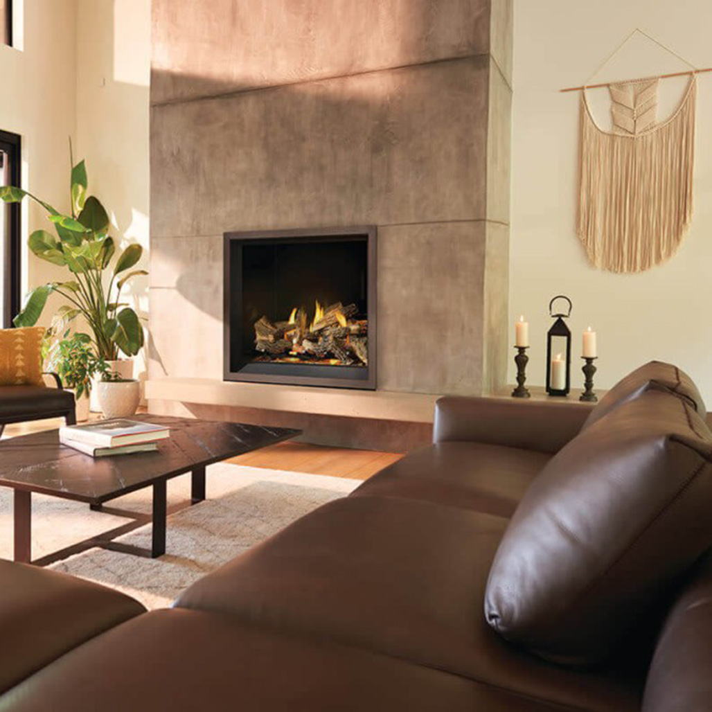 Napoleon Elevation X Series Gas Fireplace EX42 | Embers Living