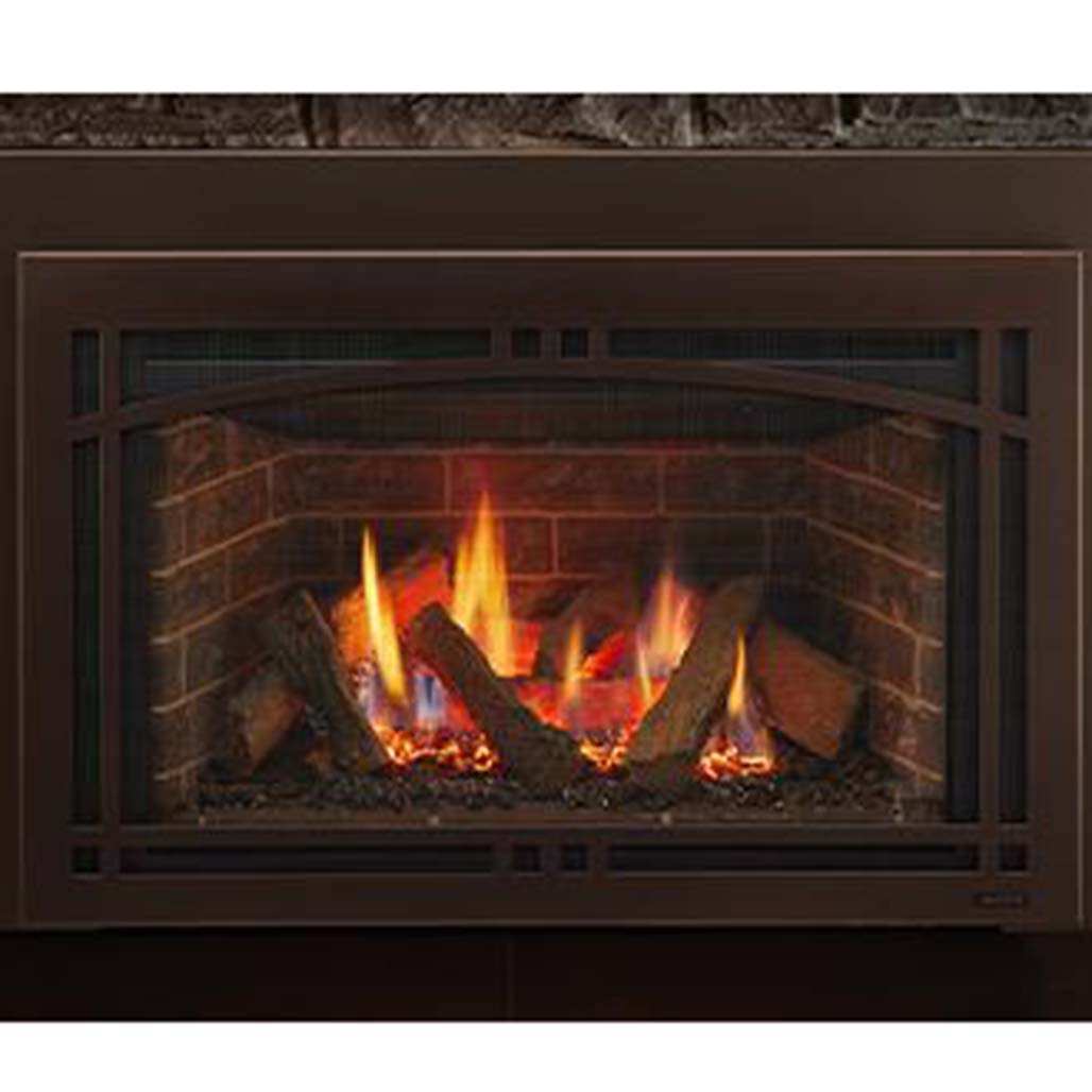 Majestic Ruby 25" Direct Vent Gas Insert with IntelliFire Plus Ignition System | Gas Insert with Direct Vent Technology