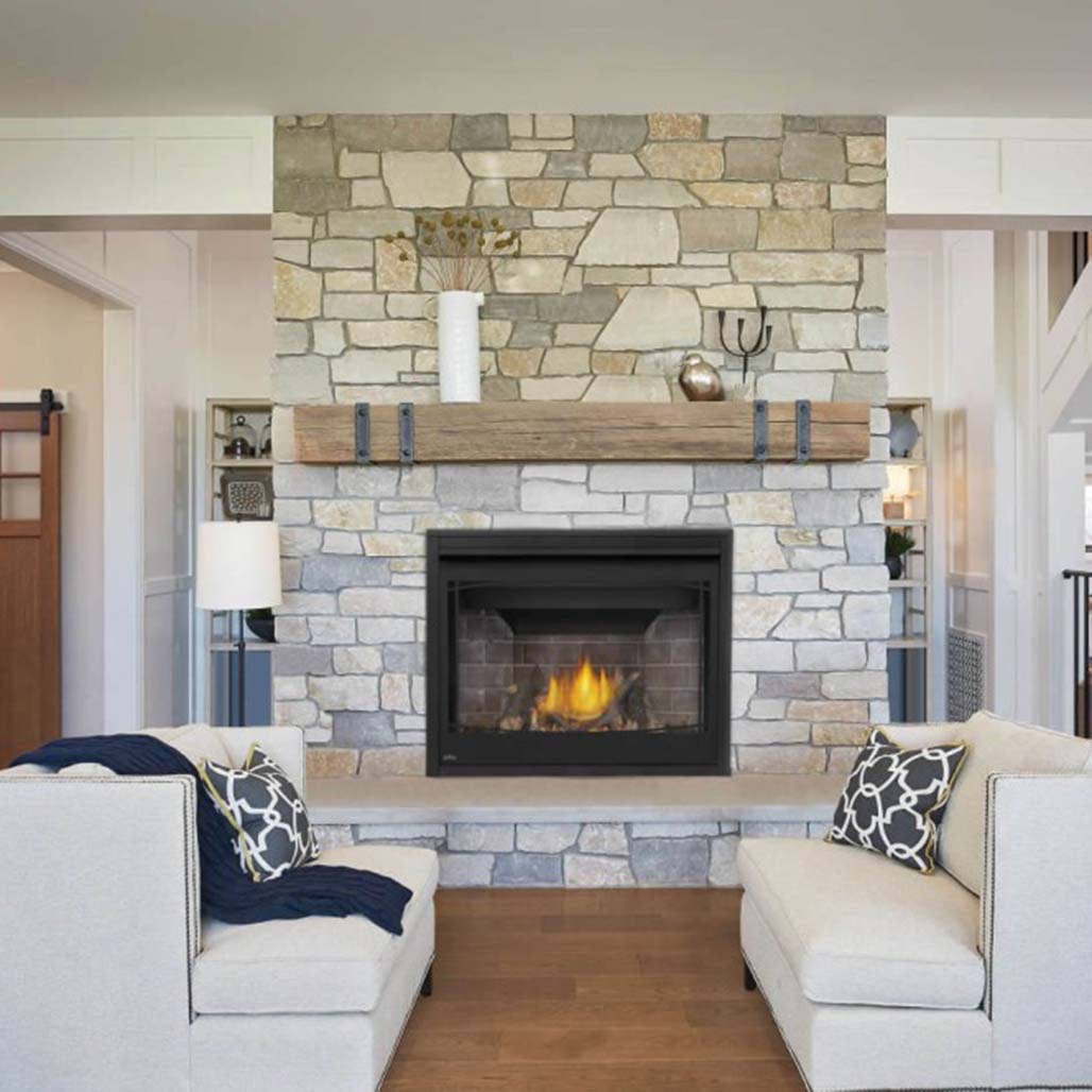 Napoleon Ascent BX 42