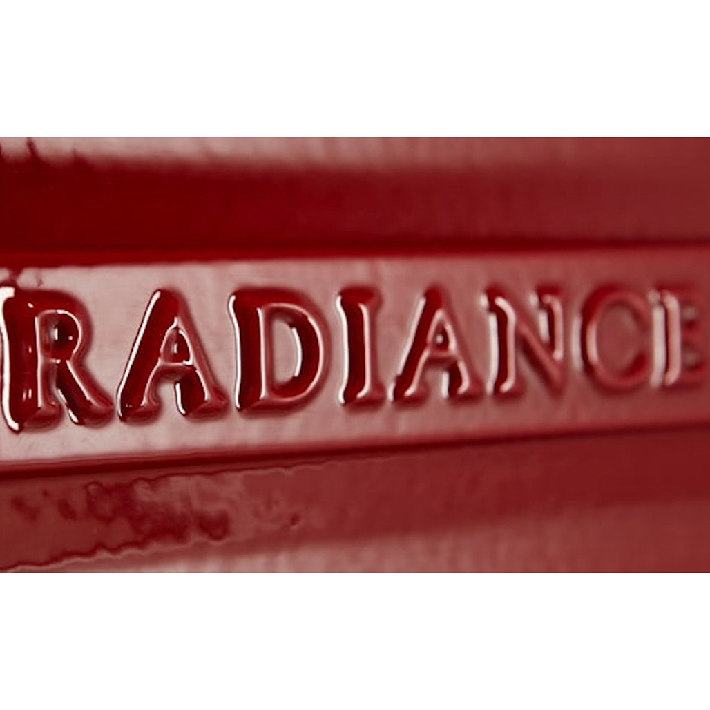 Vermont Castings Radiance Direct Vent Gas Stove | Embers Living