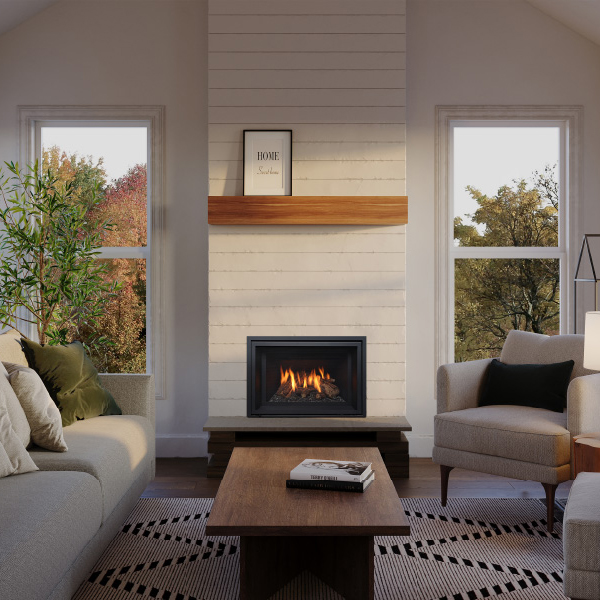 Regency GI25LE Extra Small Gas Insert | Embers Living