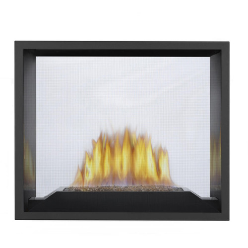 Napoleon HD81 See Through Direct Vent Gas Fireplace | Embers Living