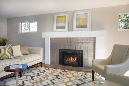 Regency Liberty LRI4E Medium Gas Insert | Embers Living