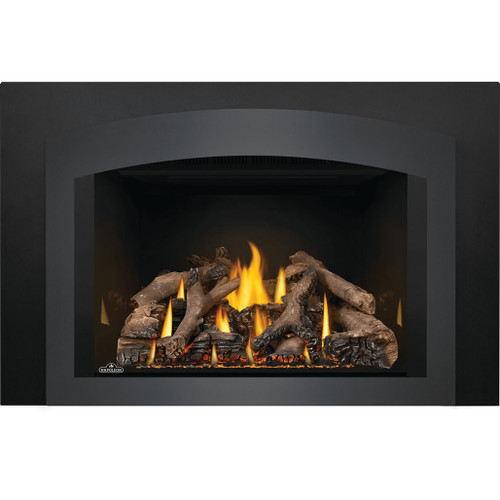 ワンコ様3 Napoleon Oakville X3 Series Direct Vent Gas Insert | Embers Living