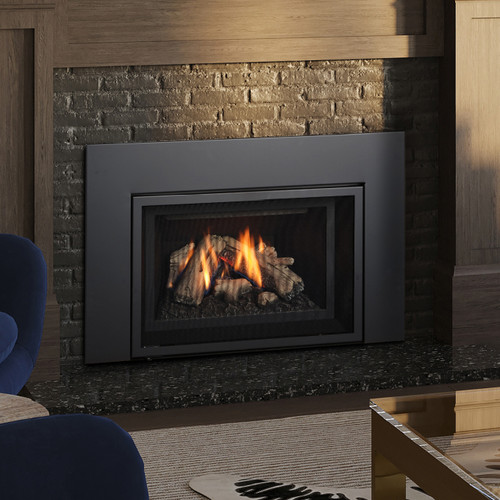  GROWN レコード　② Regency GI25LE Extra Small Gas Insert | Embers Living