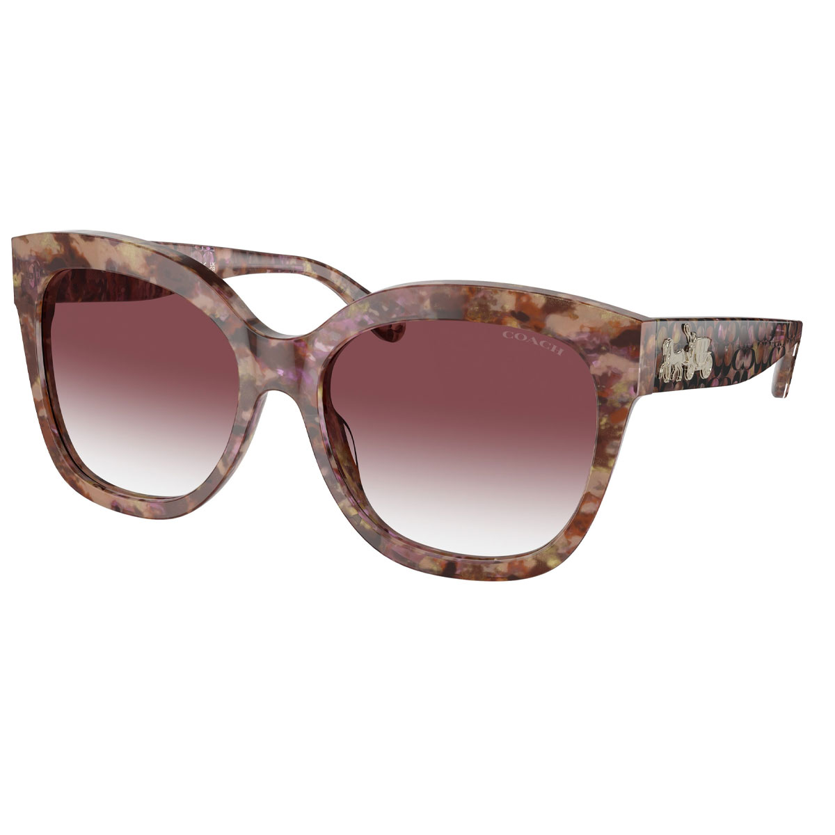 Coach Sunglasses Women's - 0HC8264
