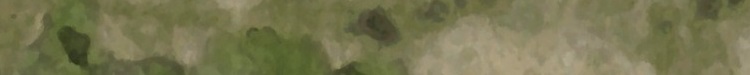 atacsfgr.jpg