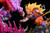 【IN-STOCK】Dynamic studio SS3 goku vs Janenba  1:4