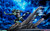 【PRE-ORDER】PG Studio Meruem
