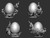 【PRE-ORDER】GU GU Studio 1:6 Super Ancient Pokemon with LED