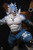 【PRE-ORDER】Shibadon Studio Were Garurumon