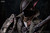 【PRE-ORDER】Panda Studio Hunter Gascoigne