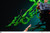 【PRE-ORDER】Last Sleep Studio 1:6/1:4 Roronoa Zoro