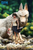 【PRE-ORDER】OPM Studio Princess Mononoke