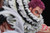 【PRE-ORDER】JIMEI PALACE Studio Katakuri Licensed 