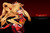 【PRE-ORDER】Hyperspace Studio Asuka