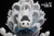 【PRE-ORDER】27abyss Studio Hollow Knight with LED
