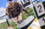 【PRE-ORDER】Hanabee Studio 1:6 Baltimore Black Ace PVC